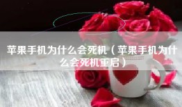 苹果手机为什么会死机（苹果手机为什么会死机重启）