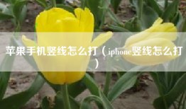 苹果手机竖线怎么打（iphone竖线怎么打）