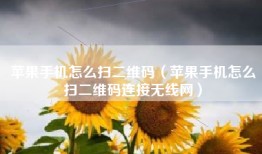 苹果手机怎么扫二维码（苹果手机怎么扫二维码连接无线网）