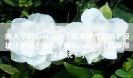 深入了解HarmonyOS（鸿蒙操作系统）模块化手机「深入了解HarmonyOS（鸿蒙操作系统）」