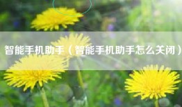 智能手机助手（智能手机助手怎么关闭）