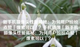 新手机摄像头性能揭秘：为何用户纷纷点赞「像素可以」？手机摄像「新手机摄像头性能揭秘：为何用户纷纷点赞「像素可以」？」