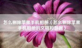 怎么删除苹果手机相册（怎么删除苹果手机相册的文稿和数据）