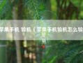 苹果手机 验机（苹果手机验机怎么验）