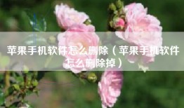 苹果手机软件怎么删除（苹果手机软件怎么删除掉）