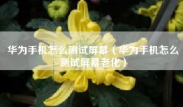 华为手机怎么测试屏幕（华为手机怎么测试屏幕老化）