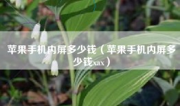 苹果手机内屏多少钱（苹果手机内屏多少钱xax）