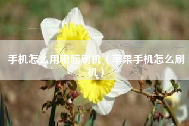 手机怎么用电脑刷机（苹果手机怎么刷机）