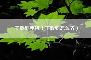 下载到手机（下载到怎么弄）