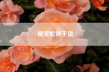 视觉检测干货